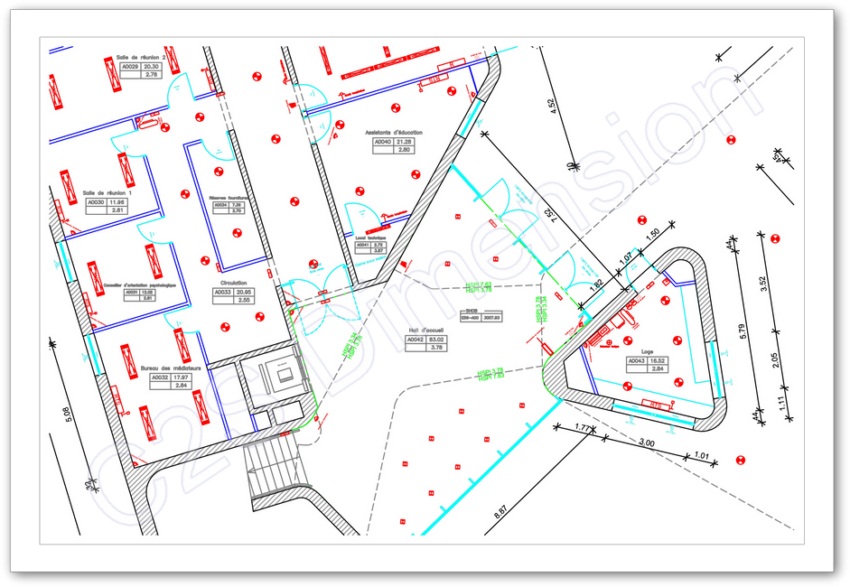 C2S Dimension - Relevés, numérisation, dessin de plans autocad : plan de niveau